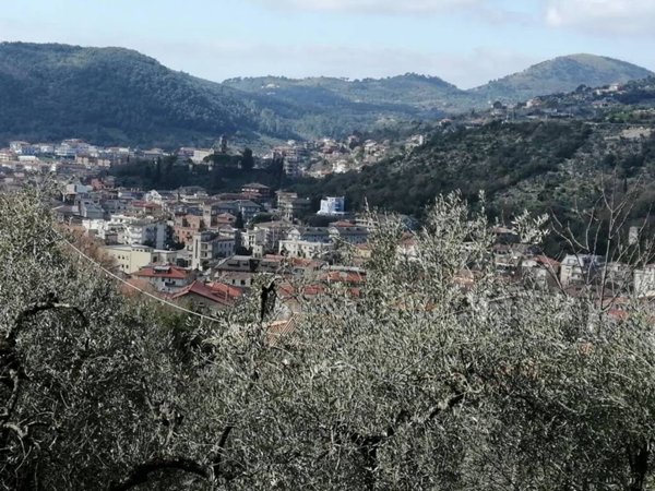terreno agricolo in vendita ad Itri