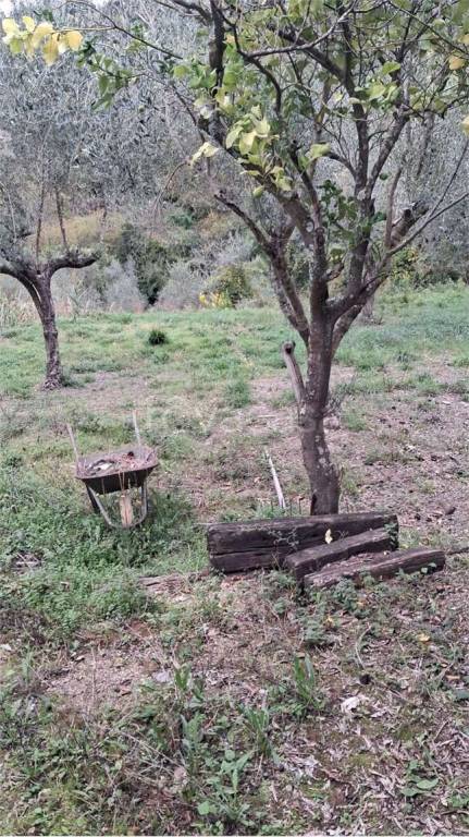 terreno agricolo in vendita ad Itri