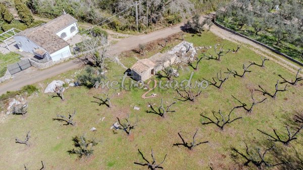 terreno agricolo in vendita ad Itri