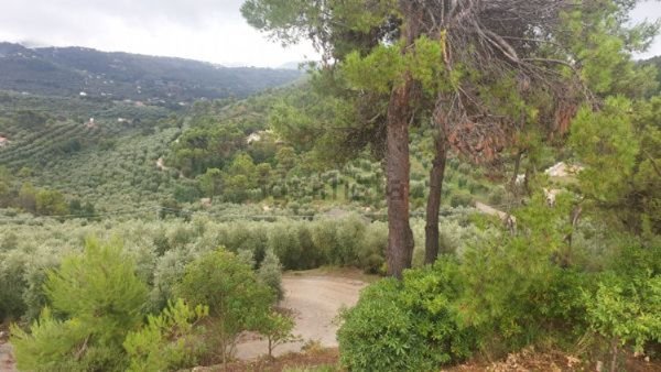 terreno agricolo in vendita ad Itri