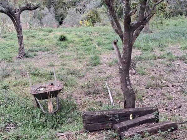 terreno agricolo in vendita ad Itri