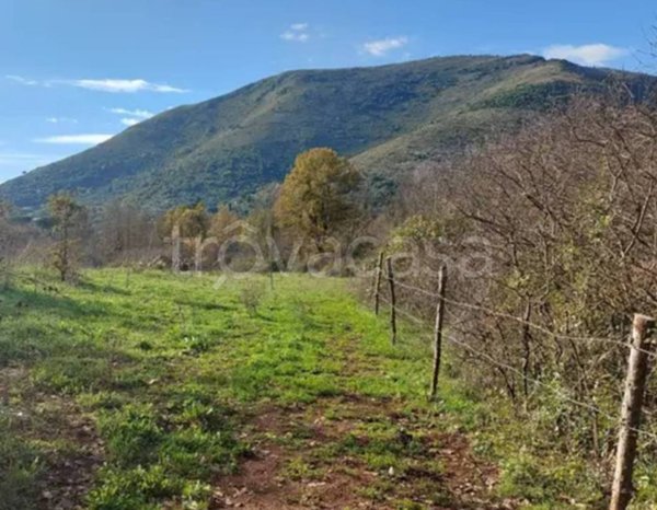 terreno agricolo in vendita ad Itri