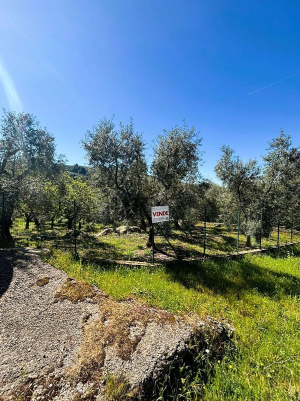 terreno in vendita ad Itri