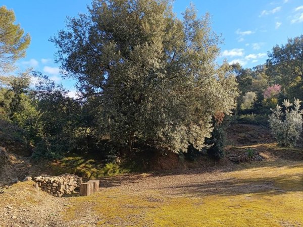terreno agricolo in vendita ad Itri