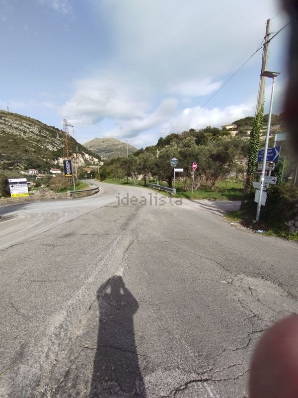immagine annuncio 0 di 1