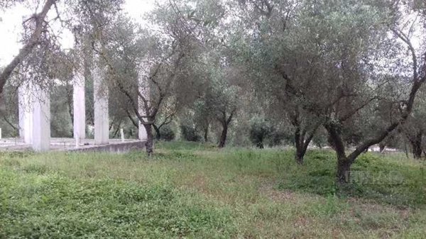 terreno agricolo in vendita ad Itri