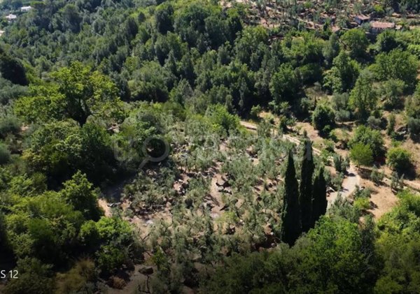terreno agricolo in vendita ad Itri