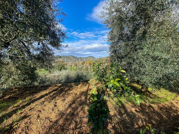 terreno in vendita ad Itri