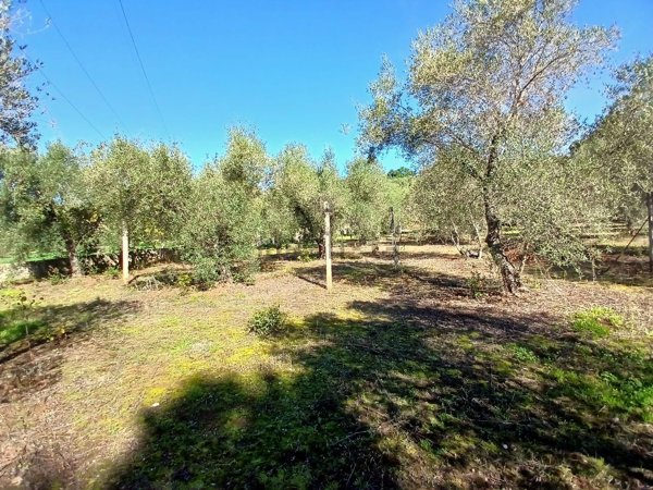 terreno in vendita ad Itri