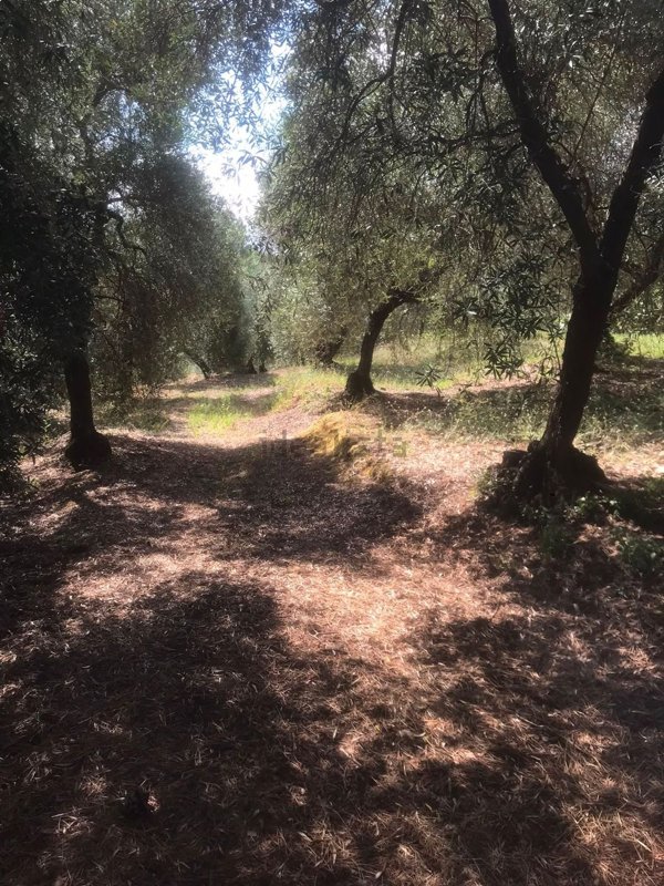 terreno in vendita ad Itri