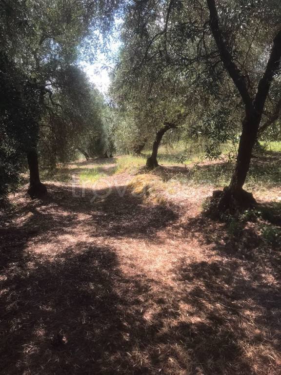terreno in vendita ad Itri