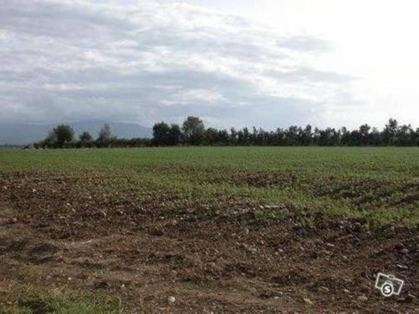 terreno agricolo in vendita a Latina in zona Borgo San Michele