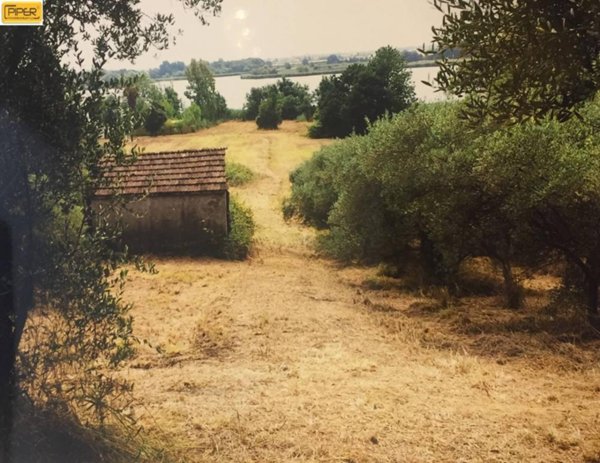 terreno agricolo in vendita a Latina