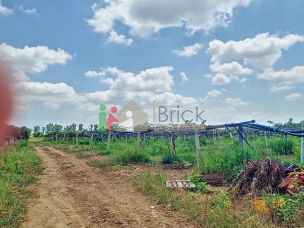terreno agricolo in vendita a Latina in zona Acciarella