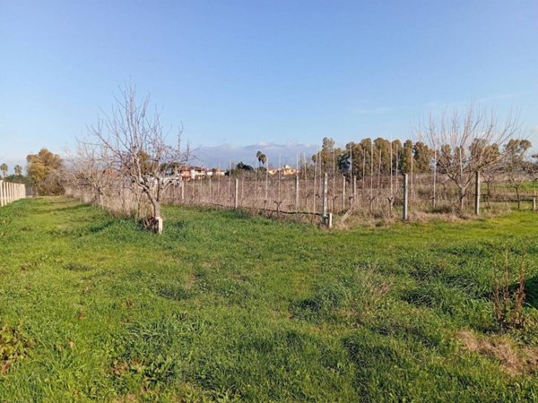 terreno agricolo in vendita a Latina in zona Borgo San Michele