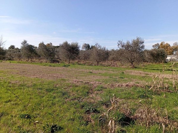 terreno agricolo in vendita a Latina in zona Borgo Grappa