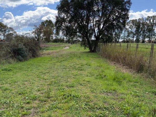 terreno agricolo in vendita a Latina in zona Latina Scalo