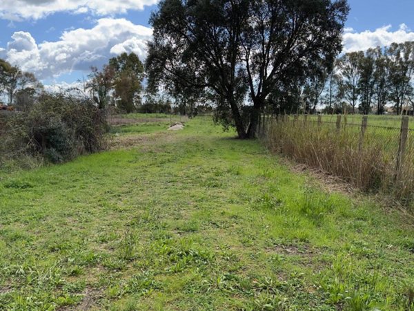 terreno agricolo in vendita a Latina in zona Latina Scalo