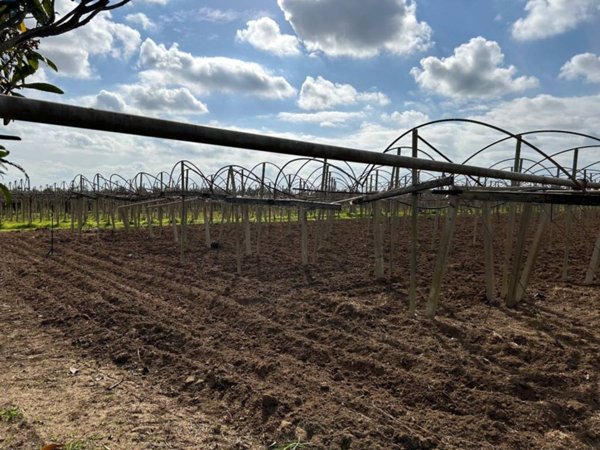terreno agricolo in vendita a Latina in zona Acciarella