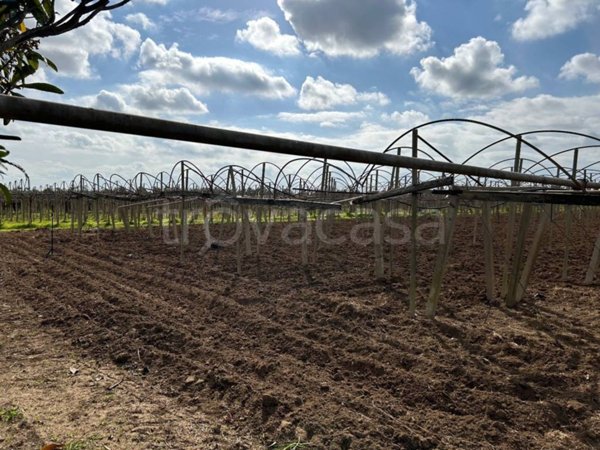 appartamento in vendita a Latina in zona Acciarella