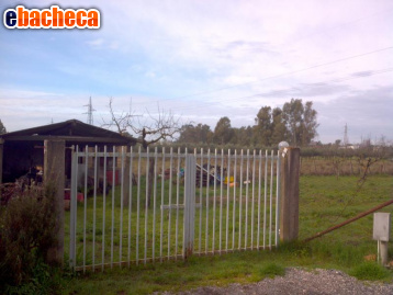 terreno agricolo in vendita a Latina