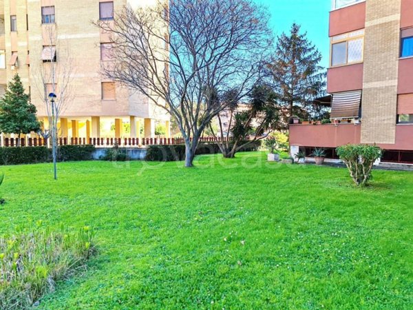appartamento in vendita a Latina in zona Centro Città