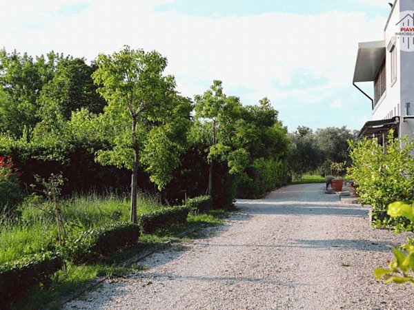 casa indipendente in vendita a Latina in zona Borgo Sabotino