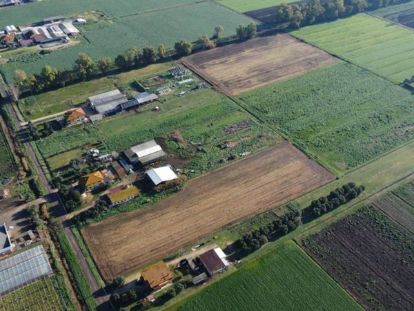 terreno agricolo in vendita a Latina in zona Borgo San Michele