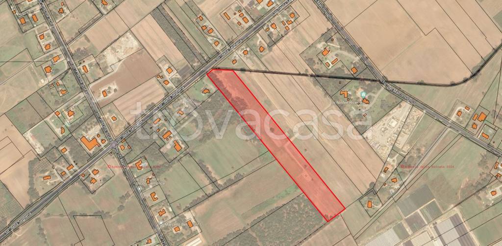 terreno agricolo in vendita a Latina in zona Borgo Grappa