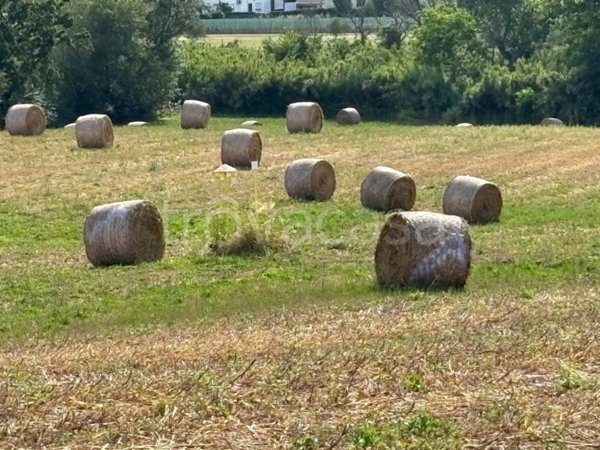 terreno agricolo in vendita a Latina in zona Borgo Sabotino