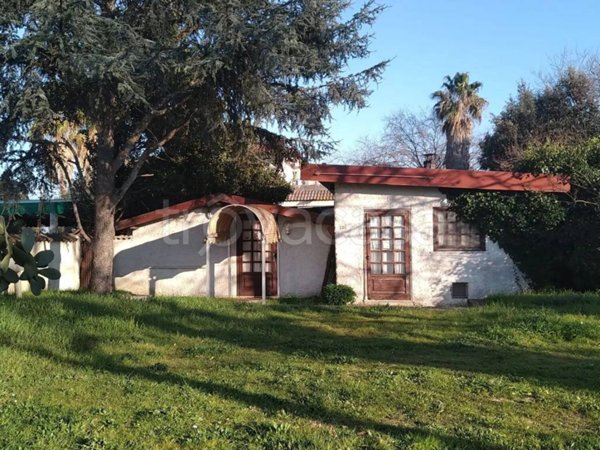 negozio in vendita a Latina