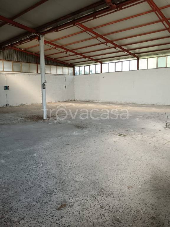 quadrivano in vendita a Latina in zona Borgo San Michele