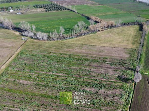 terreno agricolo in vendita a Latina in zona Borgo San Michele