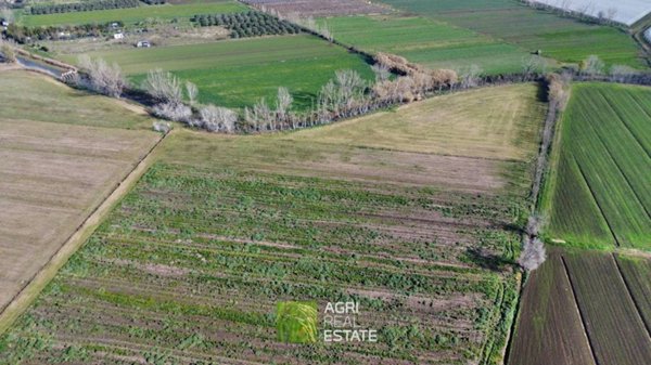 terreno agricolo in vendita a Latina in zona Borgo San Michele