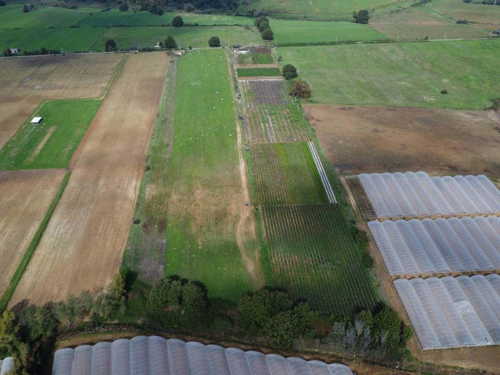 terreno agricolo in vendita a Latina in zona Acciarella