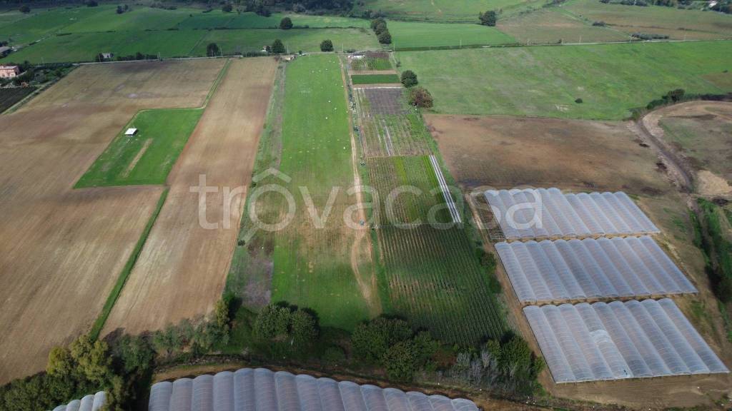 terreno agricolo in vendita a Latina in zona Acciarella