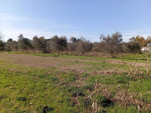 terreno agricolo in vendita a Latina in zona Borgo Grappa