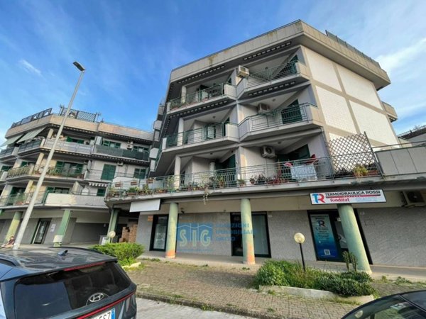 negozio in vendita a Latina in zona Borgo San Michele