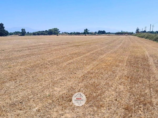 terreno agricolo in vendita a Latina in zona Borgo Santa Maria