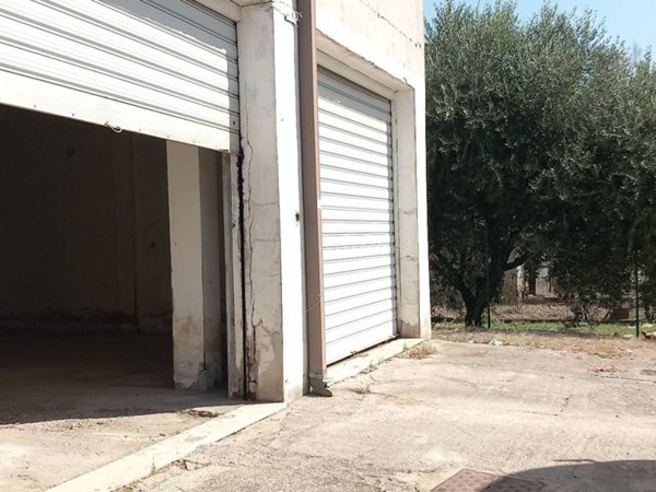 negozio in vendita a Latina in zona Borgo Grappa