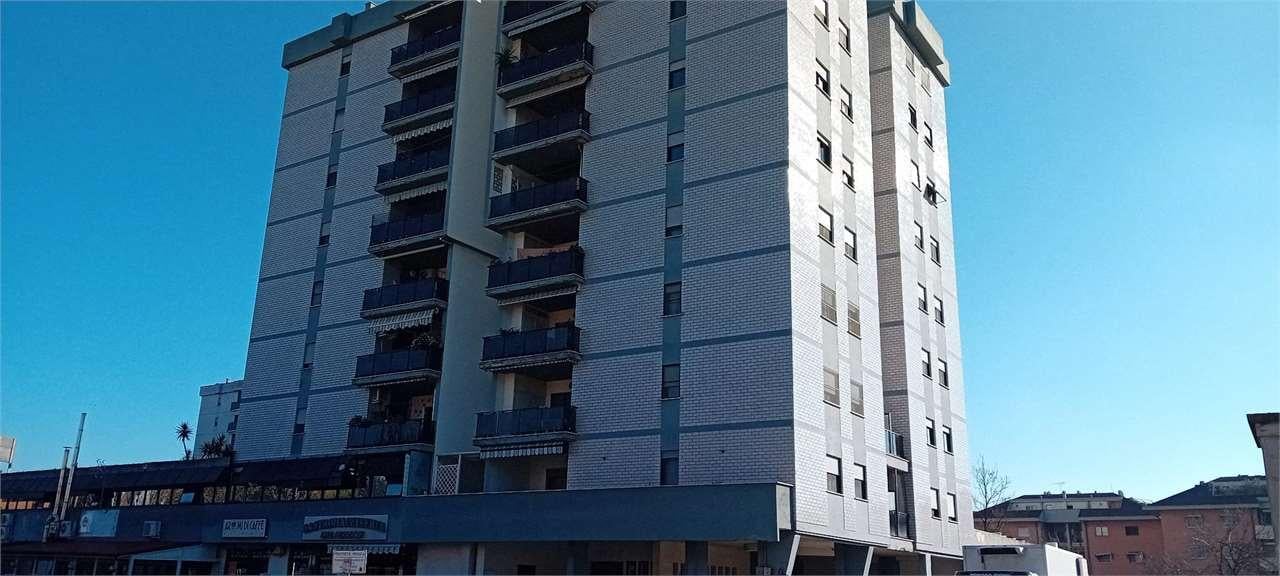 esavano in vendita a Latina