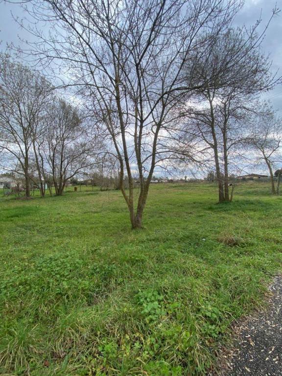terreno agricolo in vendita a Latina