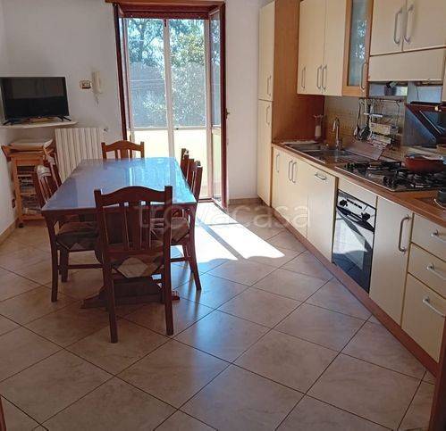 appartamento in vendita a Latina in zona Borgo Piave