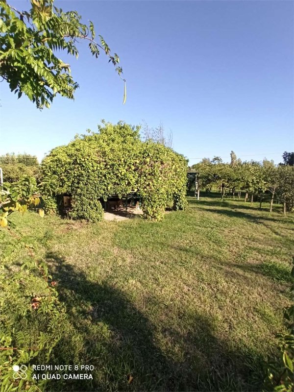 appartamento in vendita a Latina in zona Borgo San Michele