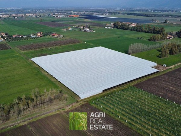 terreno agricolo in vendita a Latina in zona Borgo Carso