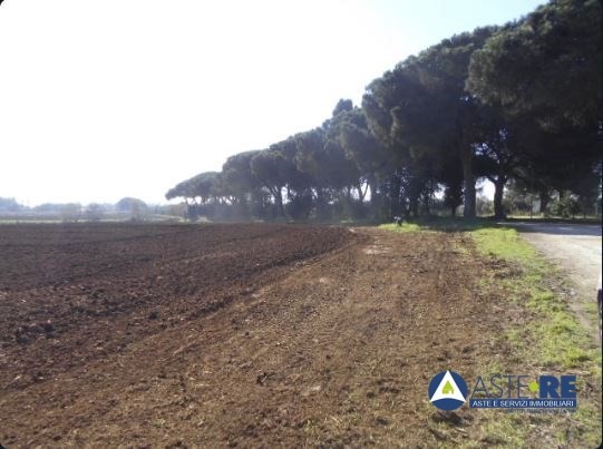 terreno agricolo in vendita a Latina