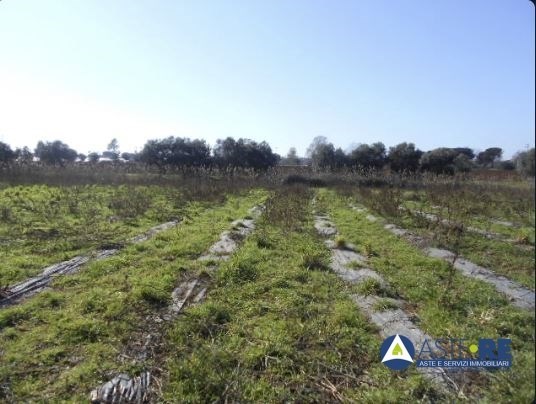 terreno agricolo in vendita a Latina