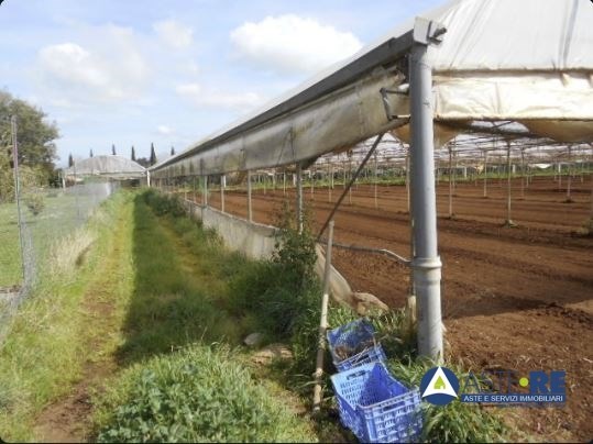 terreno agricolo in vendita a Latina