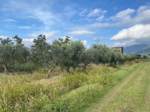 terreno agricolo in vendita a Latina in zona Latina Scalo