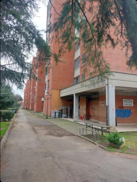 negozio in vendita a Latina